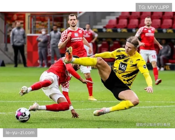 德甲争冠新势力：重磅新援加盟助力球队阵容焕新