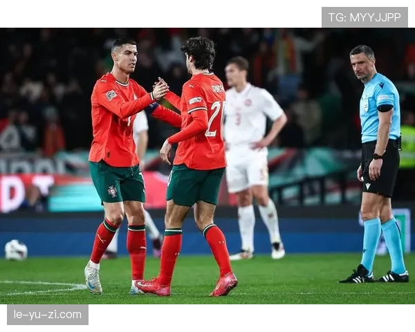 匈牙利足球队在欧洲预选赛中的不败战绩展现出强劲实力