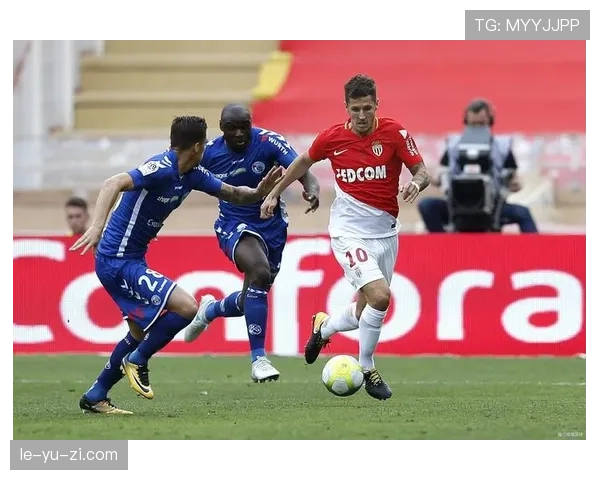 图卢兹联赛战绩